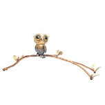 Carlos and Albert Carlos and Albert Baby Owl on Branch